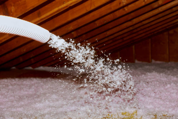 Best Commercial Insulation in Bridgeville, DE