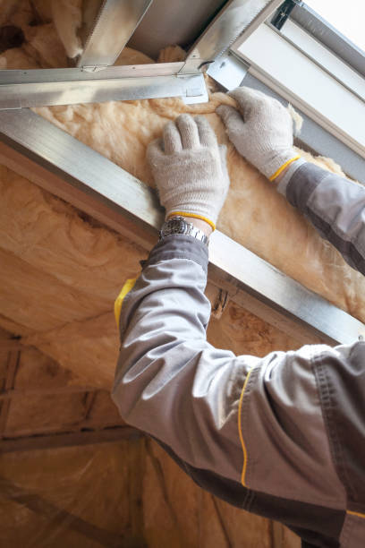 Best Types of Insulation in Bridgeville, DE
